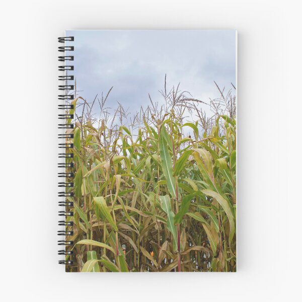Item preview, Maize designed and sold by soulestial.