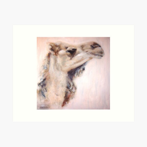Chester Art Print