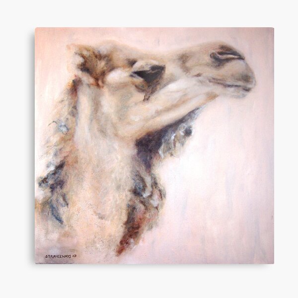Chester Metal Print