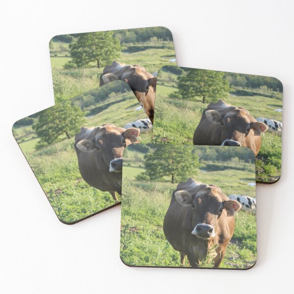 Item preview, Brown Swiss Heifer designed and sold by HMages.