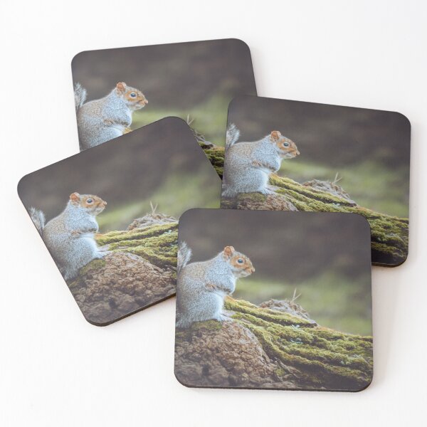 Item preview, Squirrel resting on a mossy log designed and sold by DelvesPhoto.