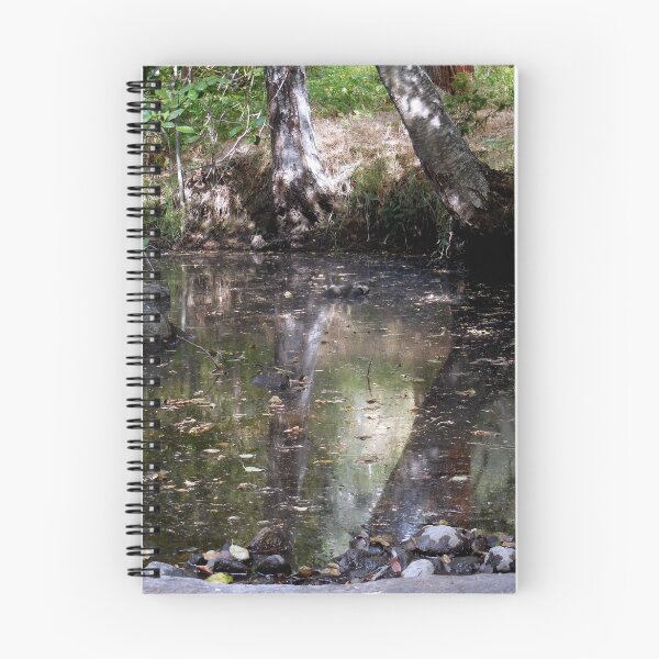 Item preview, Dirty Reflections designed and sold by Chris Gudger.