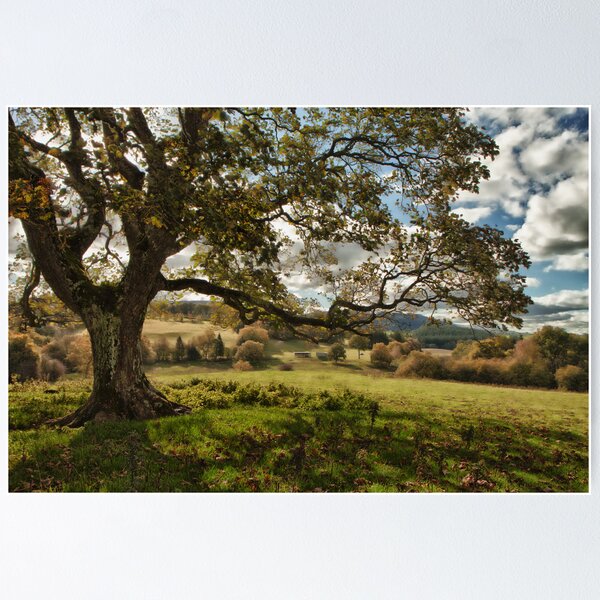 Countryside Poster
