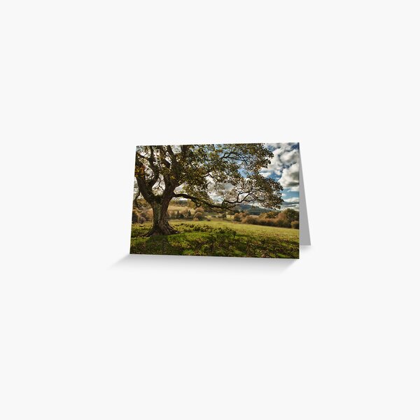Countryside Greeting Card
