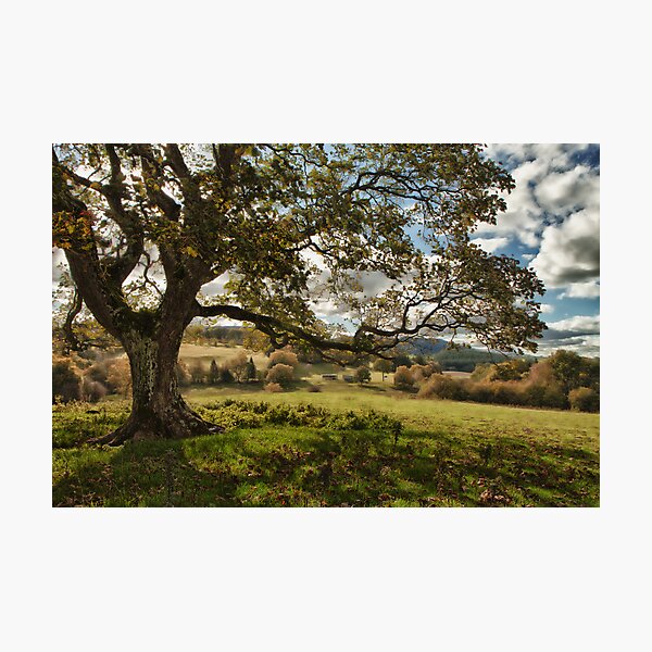 Countryside Photographic Print