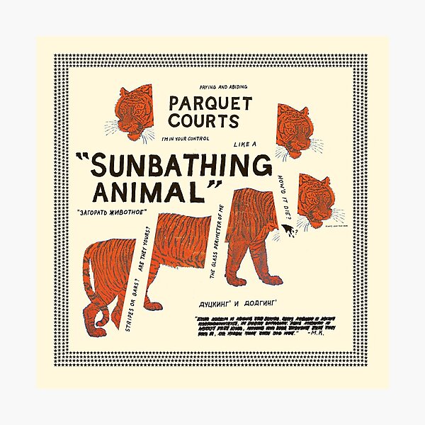 Parquet Courts – Sunbathing Animals Photographic Print