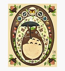 My Neighbor Totoro Photographic Print