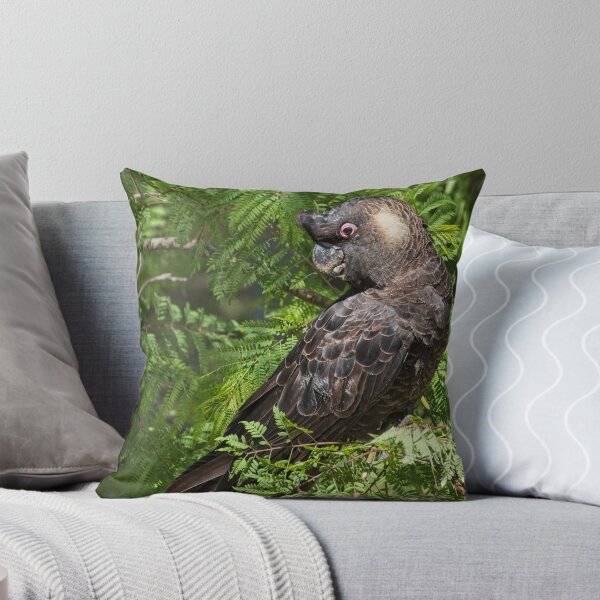 Item preview, Caranby's Cockatoo, male, in the Jacaranda tree. Kardinya, W.A. designed and sold by Sandra Chung.