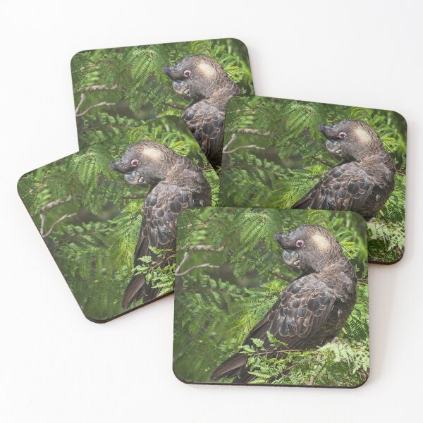 Item preview, Caranby's Cockatoo, male, in the Jacaranda tree. Kardinya, W.A. designed and sold by Sandra Chung.