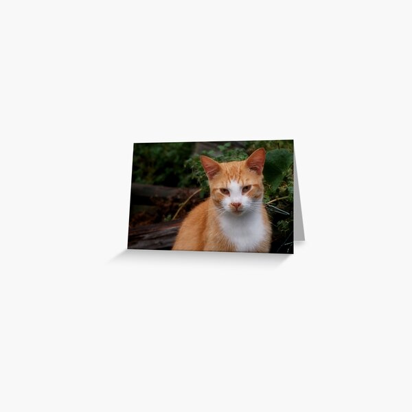Item preview, Lookout designed and sold by Sandy Woolard.