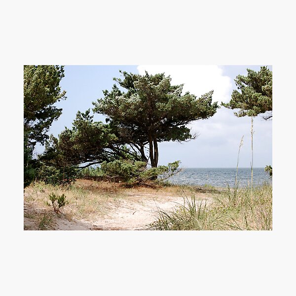 Item preview, A Walk on the Island designed and sold by Sandy Woolard.