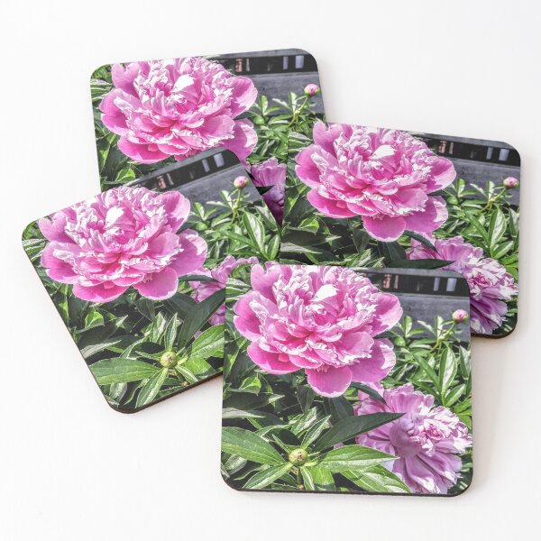 Item preview, Beauties designed and sold by Laz Freedman.