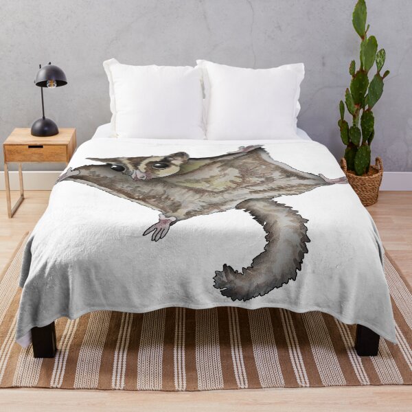 Flying squirrel blanket hot sale