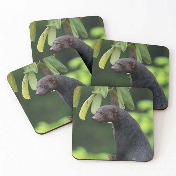 Item preview, Tayra designed and sold by mlorenz.