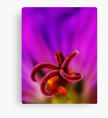 Color Canvas Print