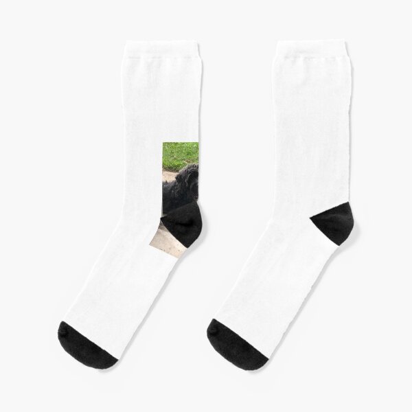 furbaby socks