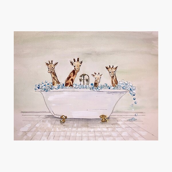 Giraffes in a Tub Photographic Print