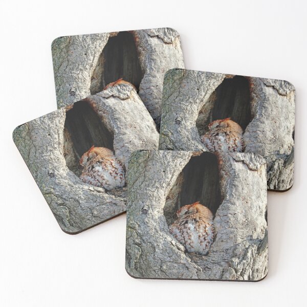 Item preview, An Eye On You designed and sold by Deb Oppermann.