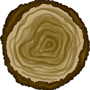 Artwork thumbnail, Tree log by Samantha Carden