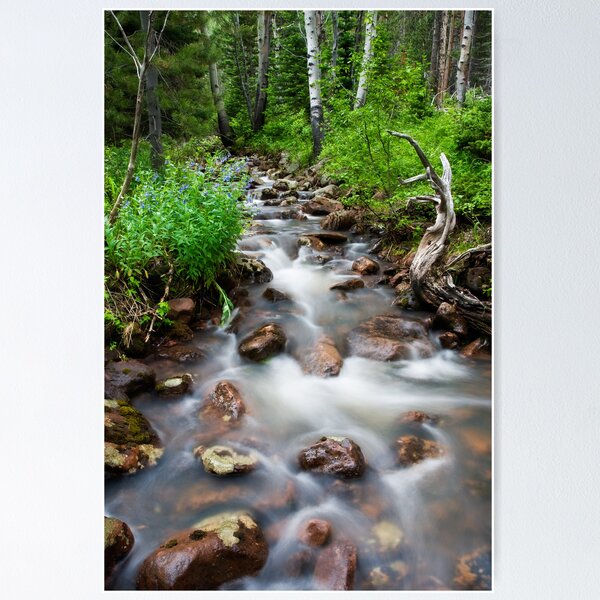 Item preview, Leona Creek designed and sold by Kim Barton.
