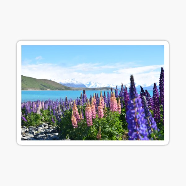 Miss Rumphius Sticker