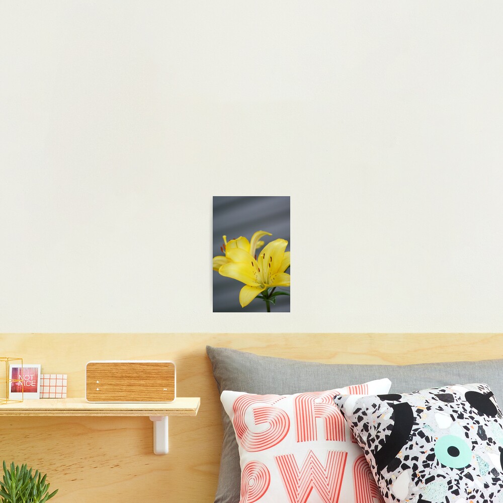 Item preview, Photographic Print designed and sold by RHMack.