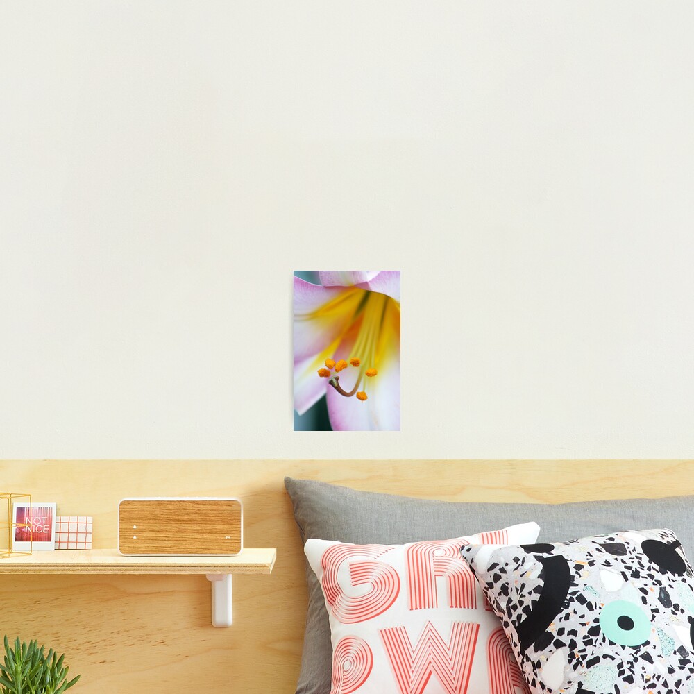 Item preview, Photographic Print designed and sold by RHMack.