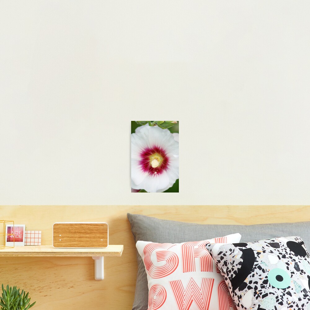 Item preview, Photographic Print designed and sold by RHMack.