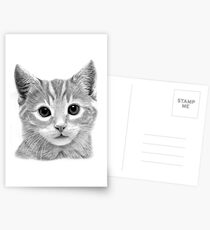 Kitten Postcards