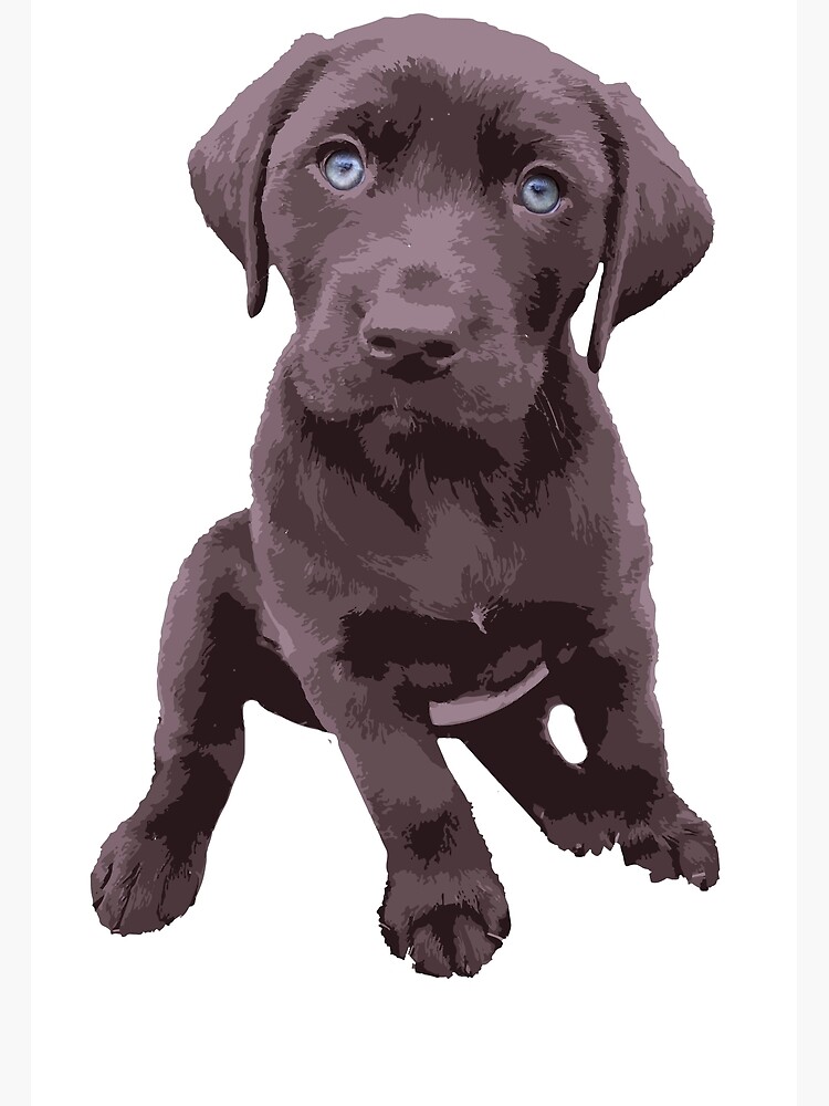 Chocolate Lab in a Yeti Cooler  Sticker for Sale by Cactus0