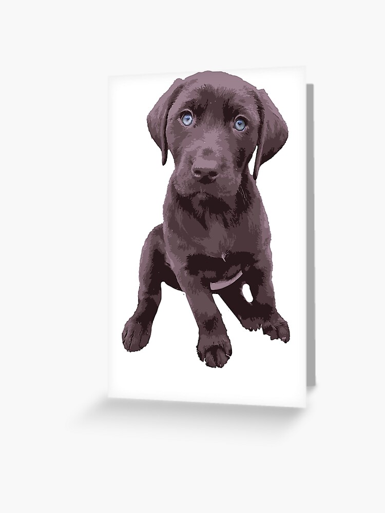 Chocolate Lab in a Yeti Cooler  Sticker for Sale by Cactus0