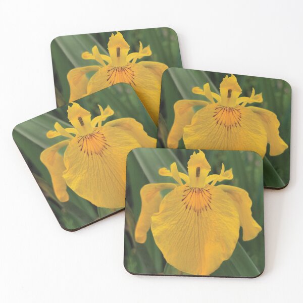 Item preview, Yellow Iris designed and sold by Glenn-Patrick.