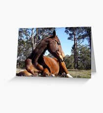 Sleepy Bin Greeting Card