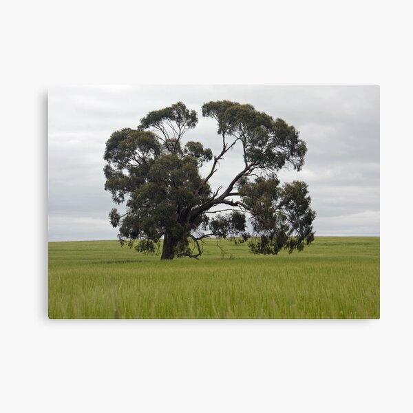 Item preview, Wonderful trees 1 designed and sold by rjpmcmahon.