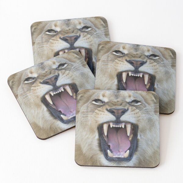 The Lions Mouth Opens Coasters (Set of 4)