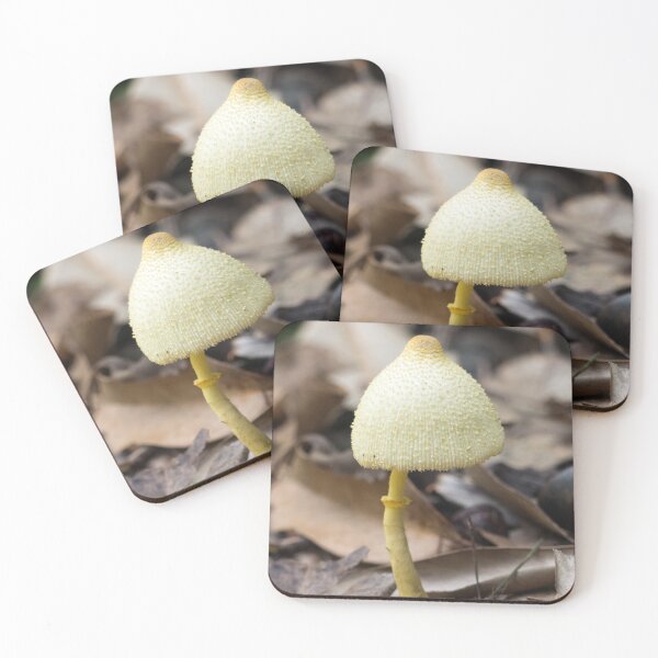 Item preview, Flowerpot Parasol  fungi (Leucocoprinus birnbaumii) designed and sold by Connie Pinson.