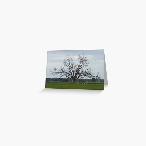 Item preview, Wonderful Trees 6 crop designed and sold by rjpmcmahon.