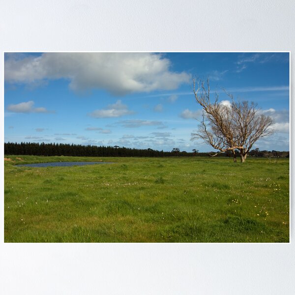Item preview, Fleurieu Peninsula Cape Jervis 1 designed and sold by rjpmcmahon.