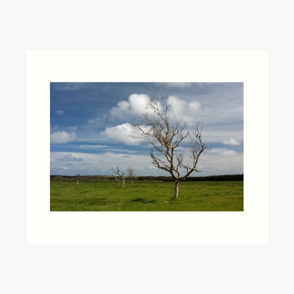 Item preview, Fleurieu Peninsula Cape Jervis 4 designed and sold by rjpmcmahon.