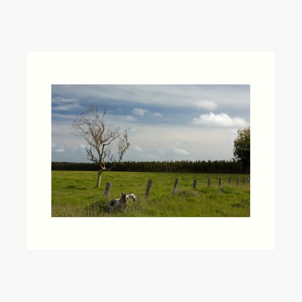 Item preview, Fleurieu Peninsula Cape Jervis 5 designed and sold by rjpmcmahon.