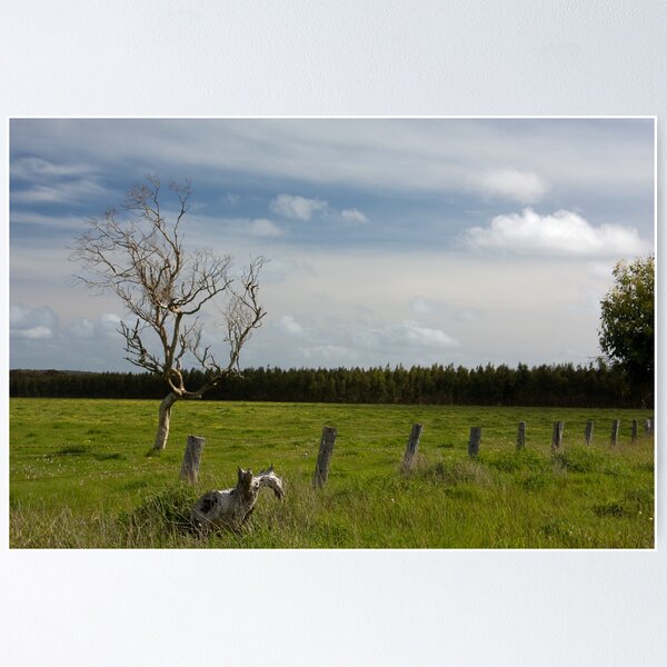 Item preview, Fleurieu Peninsula Cape Jervis 5 designed and sold by rjpmcmahon.