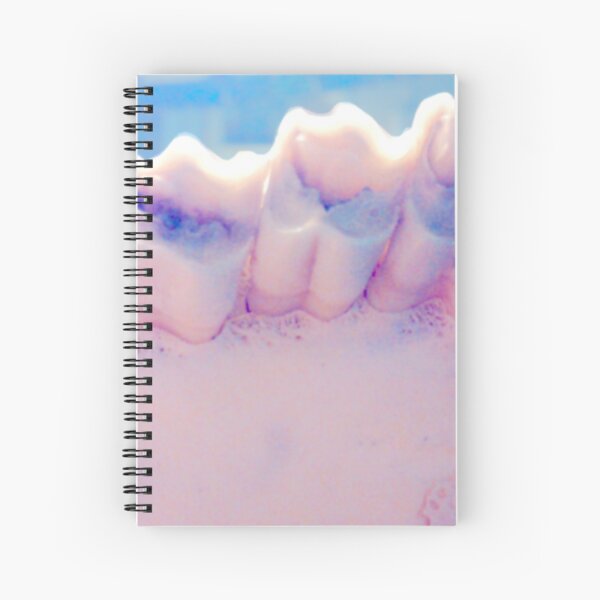Item preview, Teeth designed and sold by ABIllustrative.