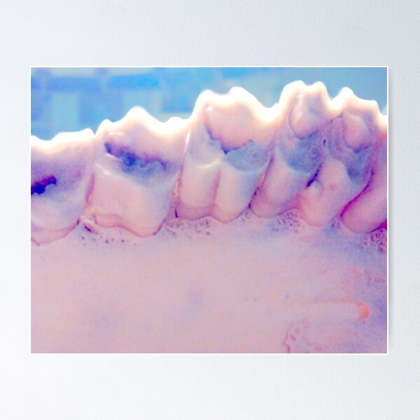 Item preview, Teeth designed and sold by ABIllustrative.
