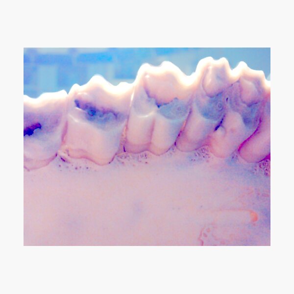 Item preview, Teeth designed and sold by ABIllustrative.