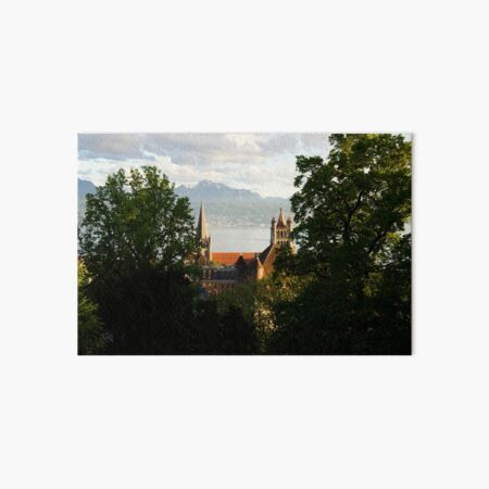 Lausanne Cathedral from Sauvabelin Tower, Lausanne, Switzerland Art Board Print