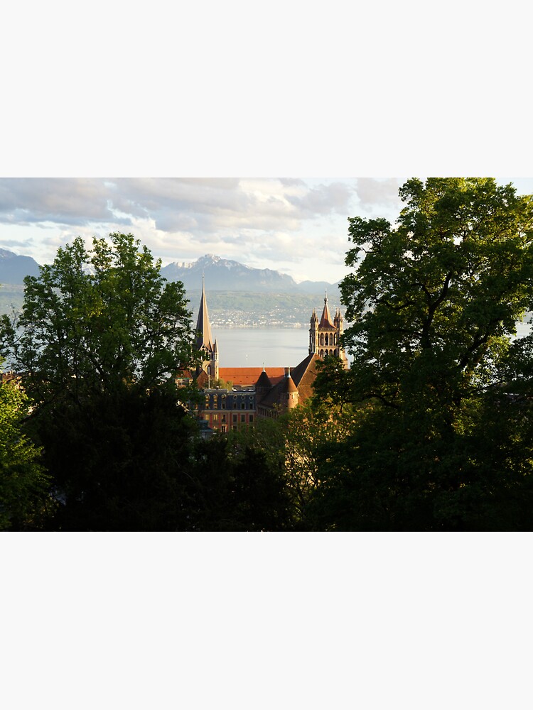 Lausanne Cathedral from Sauvabelin Tower, Lausanne, Switzerland by santoshputhran