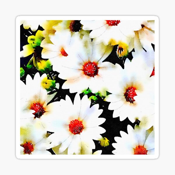 white daisies Sticker