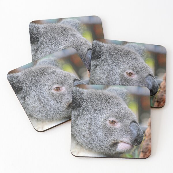 Item preview, Koala - Kuranda designed and sold by fnq-photography.