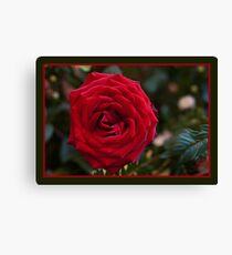 Just for you Canvas Print