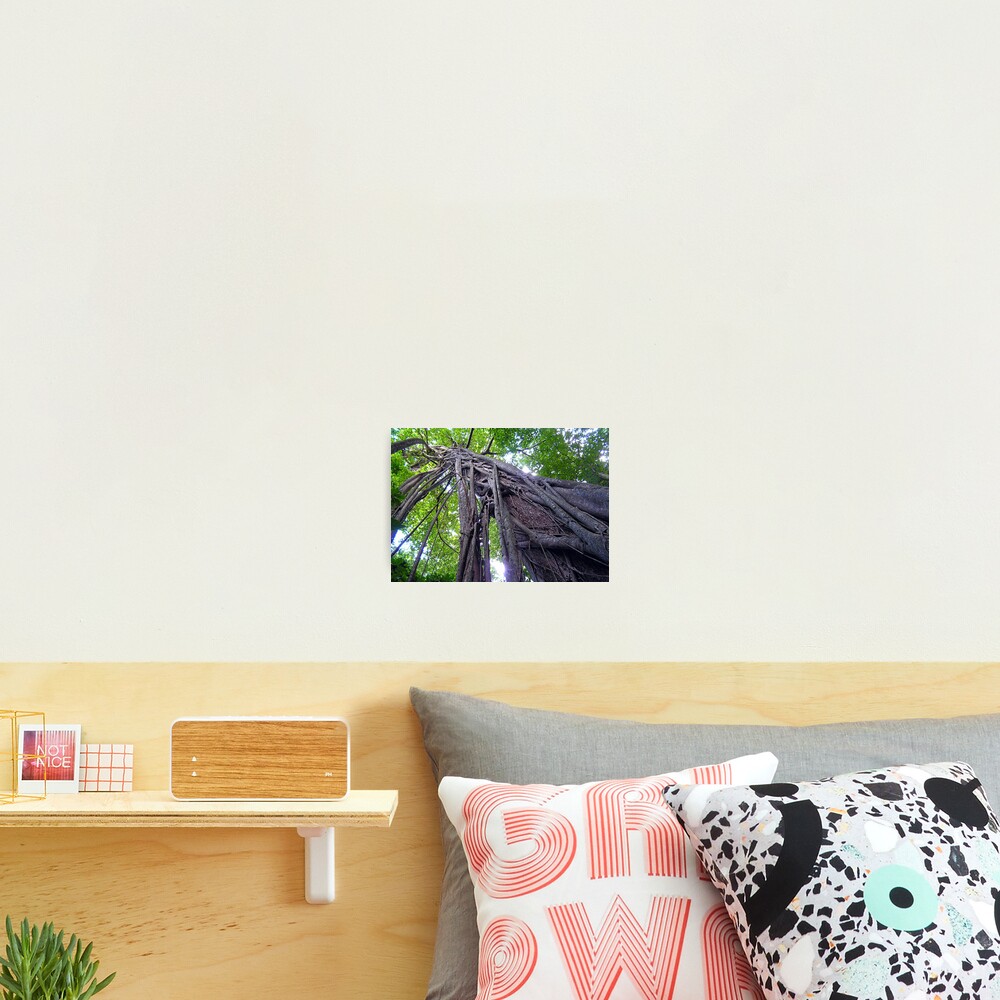 Item preview, Photographic Print designed and sold by keephotography.